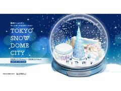 東京ドームシティ ウィンターイルミネーションの写真1
