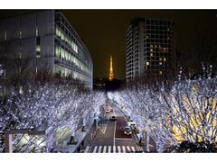 けやき坂イルミネーション「SNOW&BLUE」の写真1