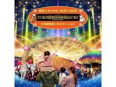 東京メガイルミ2025−2026の写真1