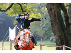 明治神宮 秋の大祭の写真1