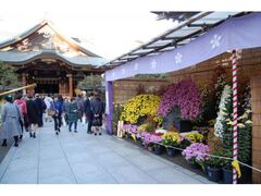 湯島天神菊まつりの写真1