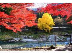 御岳渓谷の紅葉の写真1