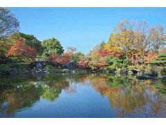 府中の森公園の紅葉の写真1