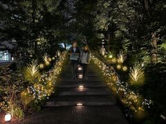 東京ワールドゲート ウィンターイルミネーションの写真1