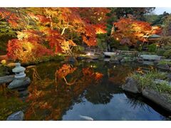長谷寺 夜間特別拝観の写真1