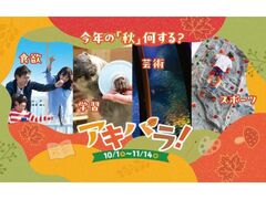 アキパラ!の写真1