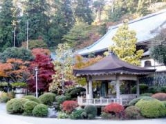 大雄山最乗寺(道了尊)の紅葉の写真1