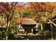 円覚寺の紅葉の写真1