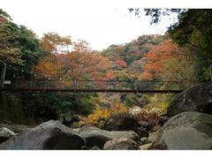 堂ヶ島渓谷遊歩道の紅葉の写真1