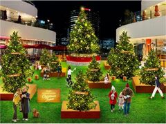 niko and ...×横浜ベイクォーターChristmas Forestの写真1