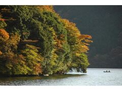 箱根・外輪山の紅葉の写真1