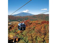 箱根ロープウェイからの紅葉の写真1