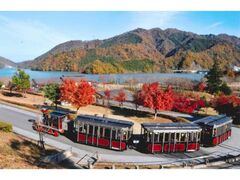 宮ヶ瀬湖の紅葉の写真1