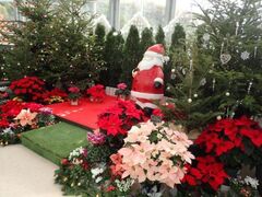 企画展示「クリスマス展」の写真1