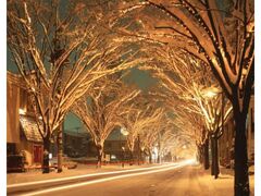 NIIGATA光のページェントの写真1