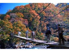 秋山郷の紅葉の写真1