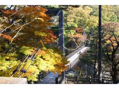 荒川峡もみじラインの写真1