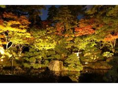 旧齋藤家別邸 秋の庭園ライトアップの写真1