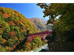 黒部峡谷 トロッコ電車と紅葉の写真1