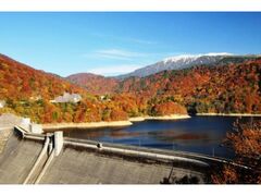 有峰湖の紅葉の写真1