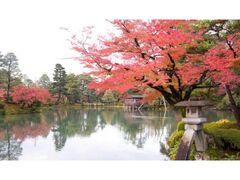 兼六園の紅葉の写真1