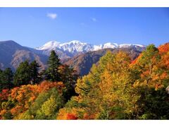 ふくべの大滝周辺の紅葉の写真1