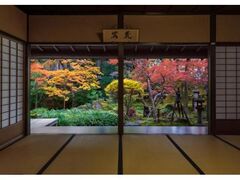 武家屋敷 寺島蔵人邸庭園の紅葉の写真1