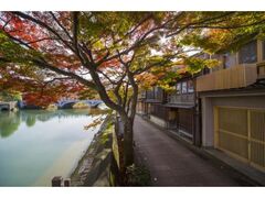 浅野川沿いの紅葉の写真1