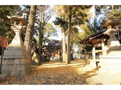 布市神社の黄葉の写真1