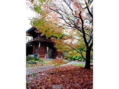 全性寺の紅葉の写真1