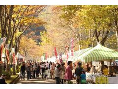 九頭竜紅葉まつりの写真1