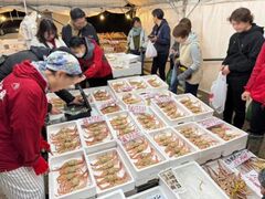 三国湊かに祭りの写真1