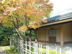 越前陶芸村の紅葉の写真1