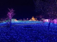 敦賀港イルミネーション ミライエの写真1