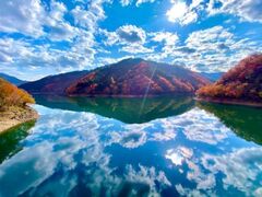 九頭竜湖の紅葉の写真1