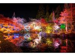 越前焼×イルミネーション「五千色の陶あかり2025」の写真1
