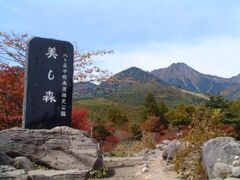 美し森の紅葉の写真1