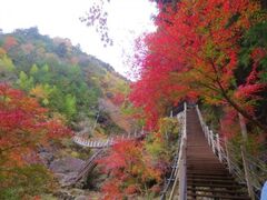 大柳川渓谷の紅葉の写真1