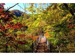 西沢渓谷の紅葉の写真1