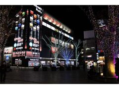 Fantasia Kofu 2025の写真1