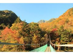 白鳳渓谷の紅葉の写真1