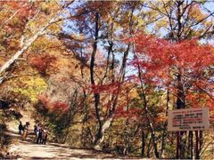 紅葉台の紅葉の写真1