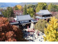 上田城跡公園の紅葉の写真1