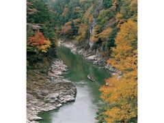 名勝 天龍峡の紅葉の写真1