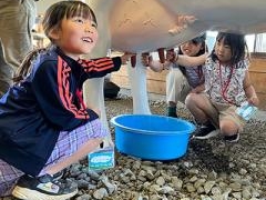 長門牧場 秋の牧場祭の写真1