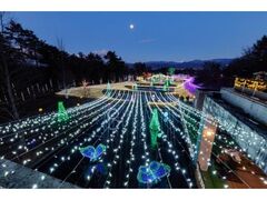 国営アルプスあづみの公園 Winter Illumination (堀金・穂高地区)の写真1