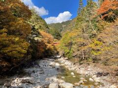 柿其渓谷の紅葉の写真1