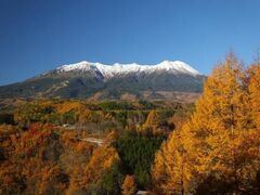 開田高原の紅葉の写真1