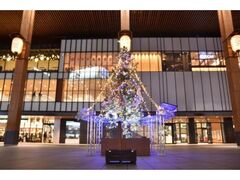 長野駅前広場みんなのツリーの写真1
