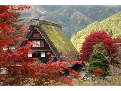 下呂温泉合掌村の紅葉の写真1